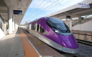 武汉可以刷公交卡的动车组 蛇年换上了“新皮肤”：太炫！