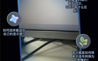 支付宝AI视觉搜索产品“探一下”已上线：万物皆可趣味解读 晒图不愁没文案