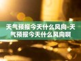 天气预报今天什么风向-天气预报今天什么风向啊