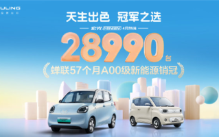 蝉联57个月A00级销冠！五菱宏光MINIEV四月销售28990台