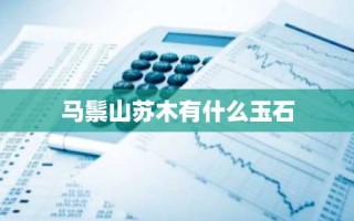 马鬃山苏木有什么玉石