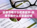 秋季节喝什么花茶最好-秋季节喝什么花茶最好呢