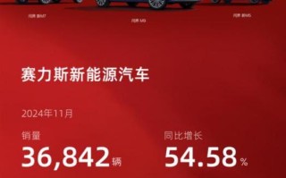 问界M9连续8个月蝉联豪华车销冠 机构看好赛力斯盈利能力