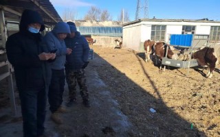 中国大地保险多措并举护航农业生产 助力乡村振兴战略