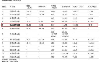 杭银消费金融2024年实现9.2亿净利润 超越兴业、中邮