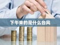 下午来的是什么台风