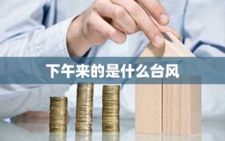 下午来的是什么台风