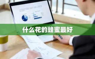 什么花的蜂蜜最好