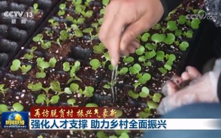 【再访脱贫村 振兴气象新】强化人才支撑 助力乡村全面振兴