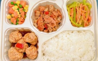 高铁盒饭又上新了：红烧肉圆、金汤巴沙鱼