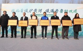“植此青绿护黄河 绿满齐鲁助双碳” 和泰人寿举办2025年植树活动