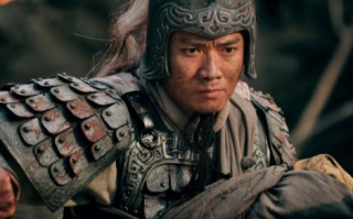 赵云智胜盗贼：胆识与智慧的传奇故事