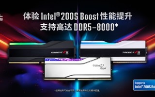 芝奇 DDR5 超频内存支持 Intel 200S Boost 超频功能