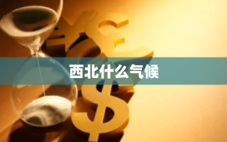 西北什么气候