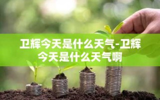 卫辉今天是什么天气-卫辉今天是什么天气啊