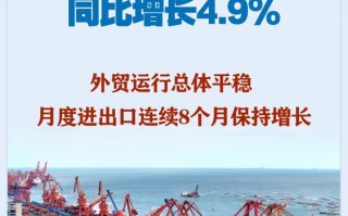 前11个月我国货物贸易进出口同比增长4.9%