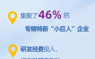 8个关键数据看“高”“新”密码