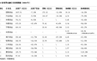 12家持牌消金2024成绩单：兴业、中银净利暴跌超70% 中邮、宁银增速达50%