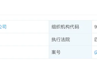 继退市、裁员后 广汇汽车又雪上加霜：被强制执行10.4亿元