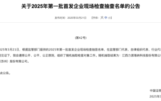 2025年IPO首批现场检查名单落地 力源海纳、强一股份被抽中