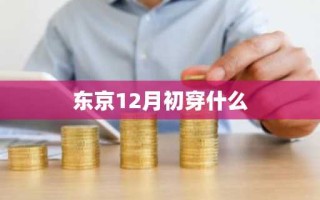 东京12月初穿什么