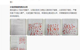 李云飞回应比亚迪巴西工地奴役中国劳工：欲加之罪 何患无辞