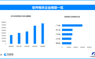 2025年前两月软件业收入稳健增长 广东软件相关企业数量位居全国首位