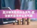 武汉明天后天什么天气-武汉明天后天什么天气啊
