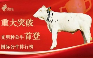 全国唯一！光明乳业种公牛首登国际百强榜，实现中国奶牛育种历史性突破