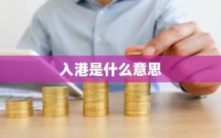 入港是什么意思