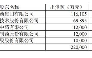 国药财务公司2024年累计投放信贷资金228.75亿元 实现营收6.83亿元