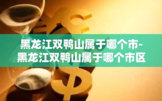 黑龙江双鸭山属于哪个市-黑龙江双鸭山属于哪个市区
