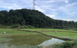 上饶银行“造血式”帮扶，蹚出乡村振兴新路