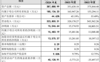 道生天合2024下半年业绩猛增、经营现金流转正，多家客户供应商重叠拷问招股书真实性