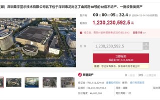 起拍价12.3亿！折叠屏手机鼻祖柔宇资产今日拍卖：无一人报名