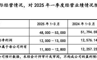 海安橡胶更新IPO招股书：境外收入占比超七成，2025年一季度业绩或下滑