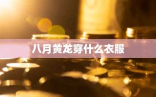 八月黄龙穿什么衣服