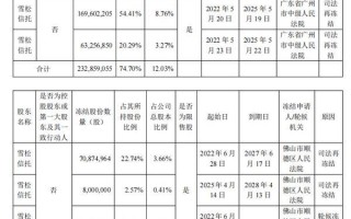 雪松信托被申请强制执行 所持相关上市公司股份被冻结