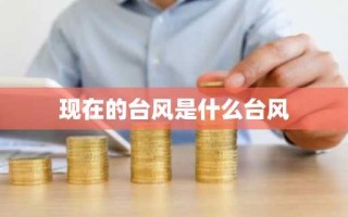 现在的台风是什么台风