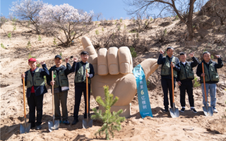 支付宝蚂蚁森林种了6亿棵树！只用短短9年