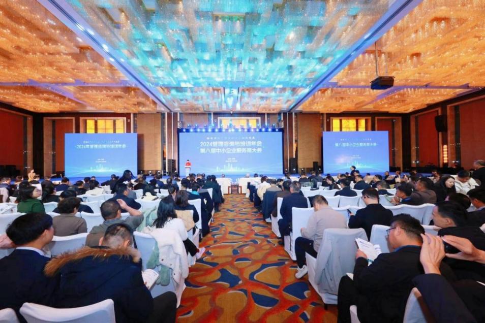 聚焦管理咨询前沿，理臣领航新质发展之路-第1张图片-芙蓉之城