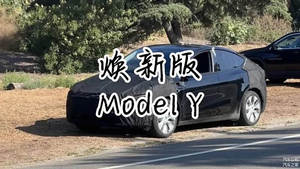 年末冲量的特斯拉,脸上也写满了焦虑-第6张图片-芙蓉之城 年末冲量的特斯拉,脸上也写满了焦虑-第6张图片-芙蓉之城