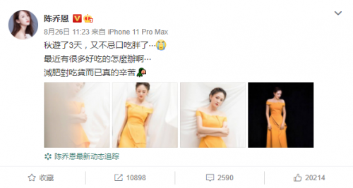 陈乔恩演出小腹微凸引争议 委屈发文承认-第1张图片-芙蓉之城