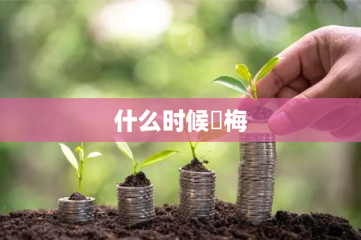 什么时候岀梅-第1张图片-芙蓉之城