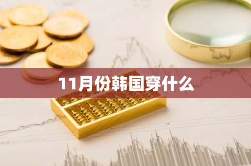 11月份韩国穿什么-第1张图片-芙蓉之城