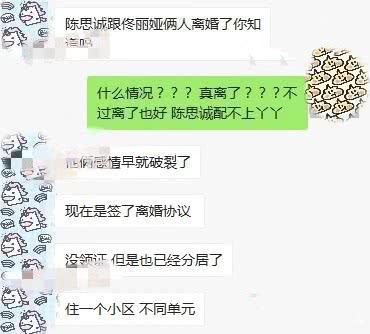 曝陈思诚佟丽娅去年1月签离婚协议 为事业没领证-第3张图片-芙蓉之城