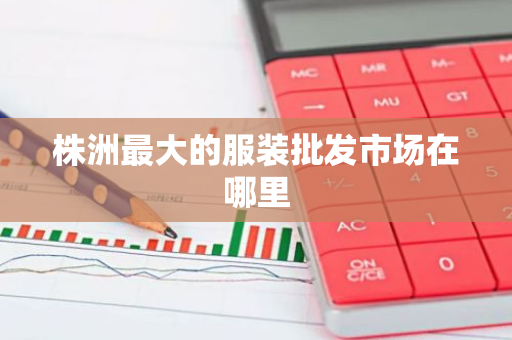 株洲最大的服装批发市场在哪里-第1张图片-芙蓉之城
