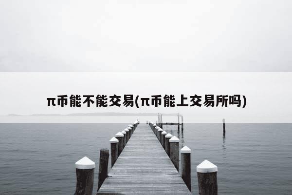 π币能不能交易(π币能上交易所吗)-第1张图片-芙蓉之城