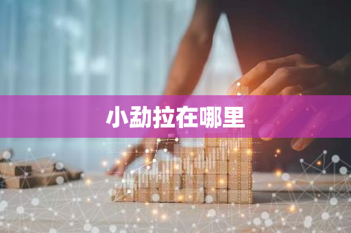 小勐拉在哪里-第1张图片-芙蓉之城