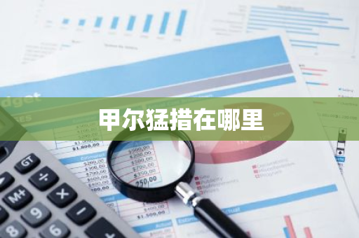 甲尔猛措在哪里-第1张图片-芙蓉之城